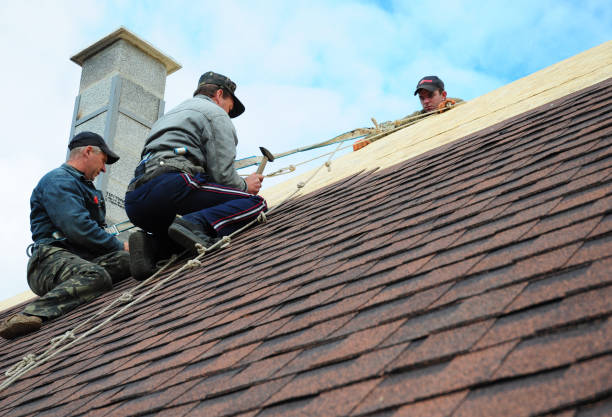 Quick and Trustworthy Emergency Roof Repair Services in Pine Lakes, FL